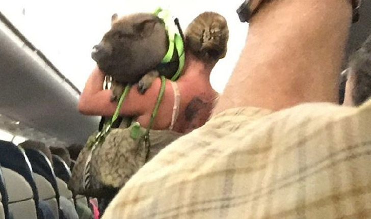 las fotos más divertidas tomadas