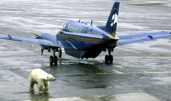 las fotos más divertidas tomadas
