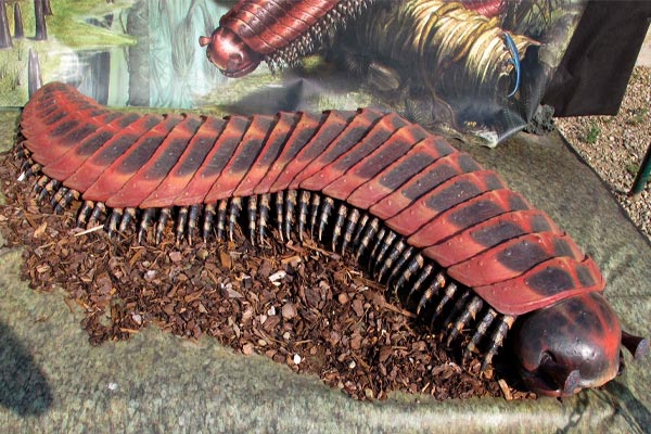 bestias prehistóricas alucinantes