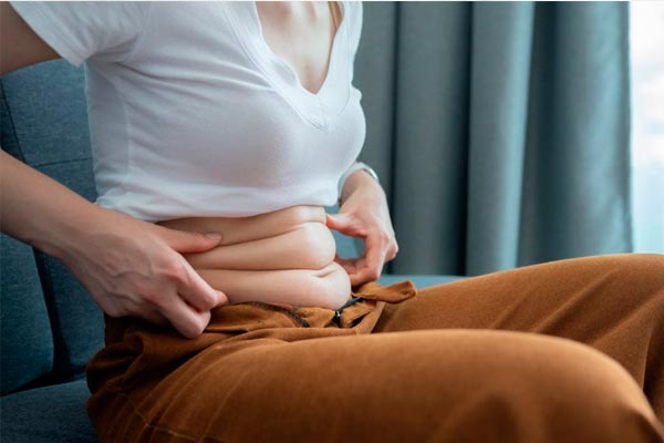 tipo de grasa corporal