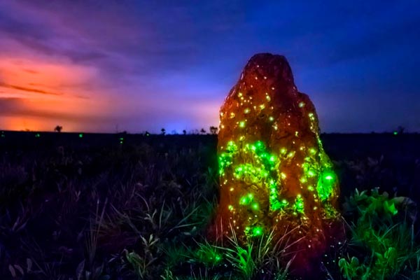 lugares misteriosos de Sudamérica