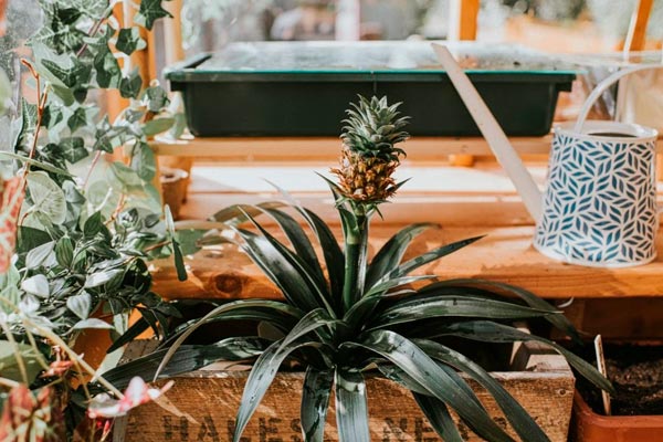 dejar que tus hijos se maquillen