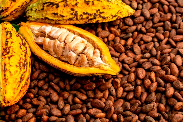 datos fascinantes sobre el chocolate