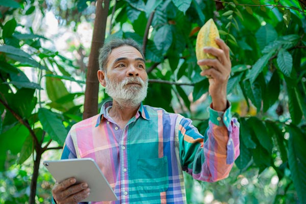 datos fascinantes sobre el chocolate