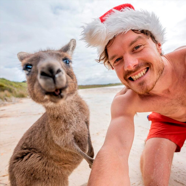 selfies con animales