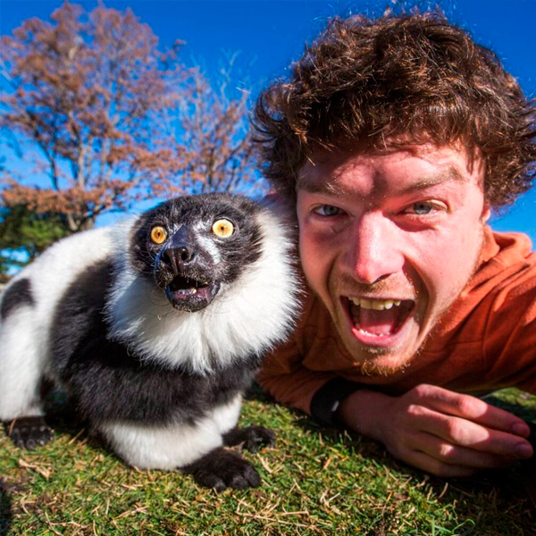selfies con animales