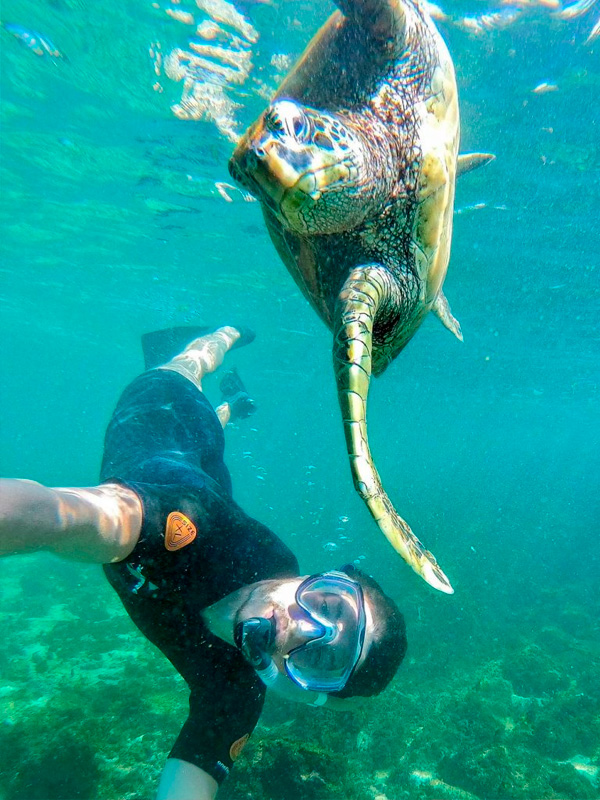 selfies con animales