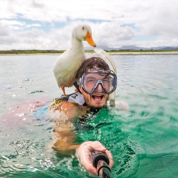 selfies con animales