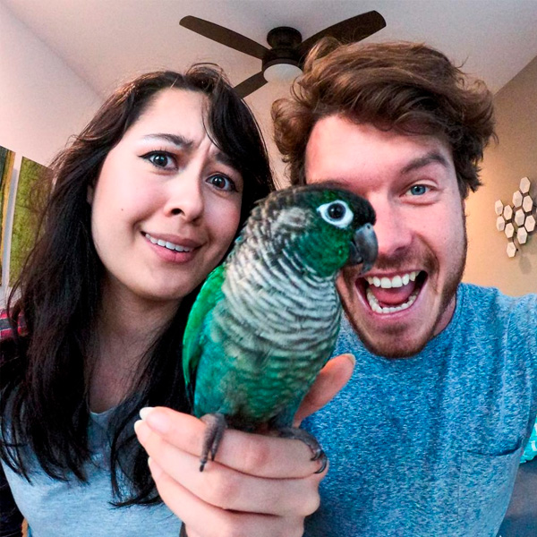 selfies con animales