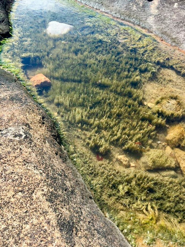 impresionantes fotografías