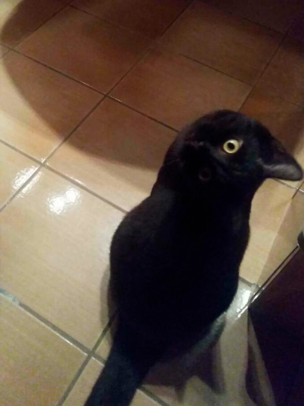 impresionantes fotografías