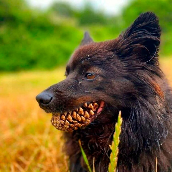 impresionantes fotografías