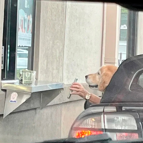 impresionantes fotografías