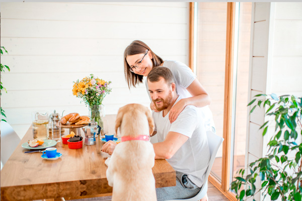 los perros te saltan encima cuando