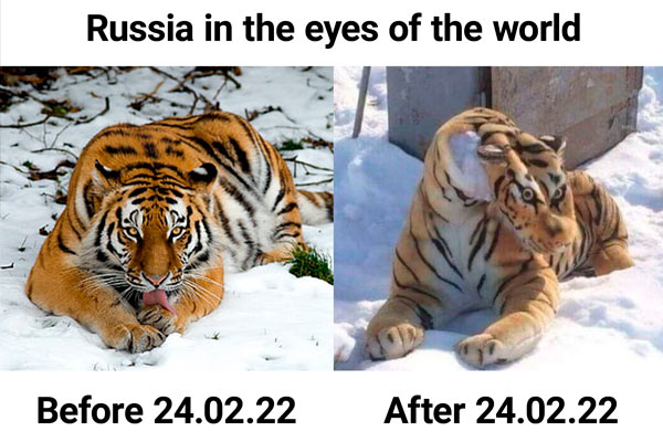 Los 12 memes más conmovedores de la guerra de Ucrania