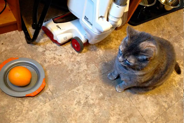 niños que son mucho más divertidos