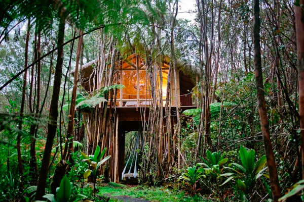 Casas de lujo en los árboles de Airbnb