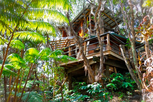 Casas de lujo en los árboles de Airbnb