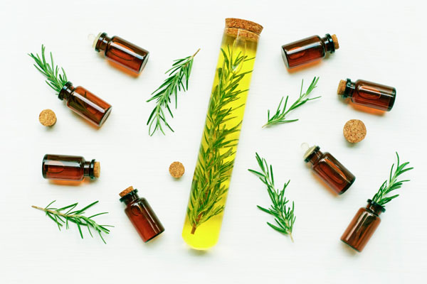 utilizar el romero para el crecimiento del cabello