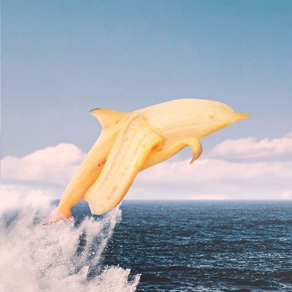 Ronald Ong retoca animales