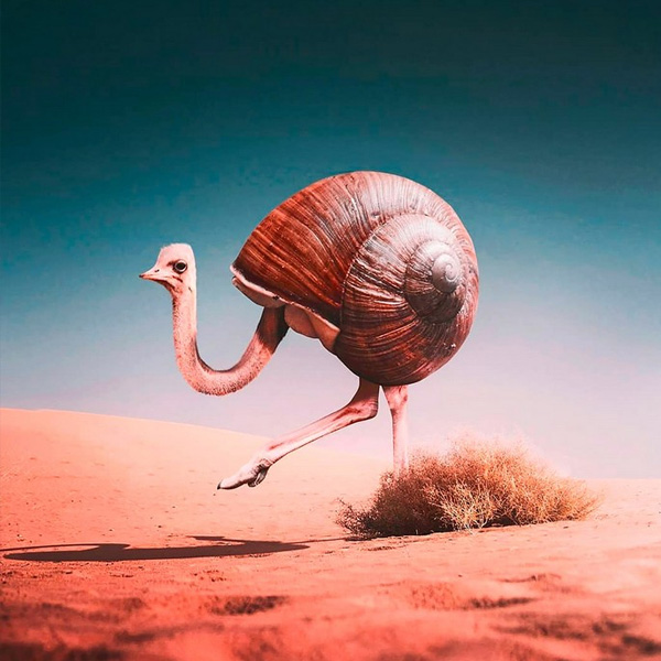 Ronald Ong retoca animales