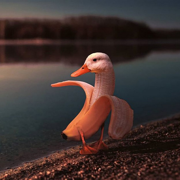 Ronald Ong retoca animales