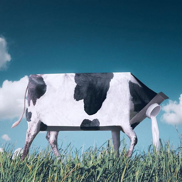 Ronald Ong retoca animales