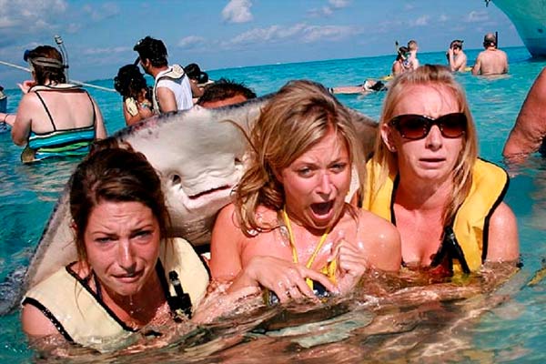 Divertidas vacaciones de verano