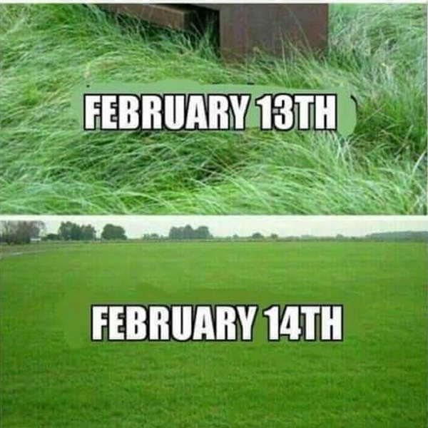 memes divertidos del día de San Valentín