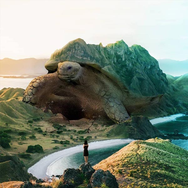 brillo lúdico a la naturaleza