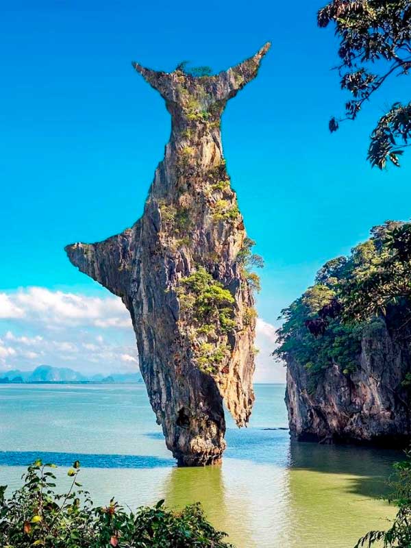 brillo lúdico a la naturaleza