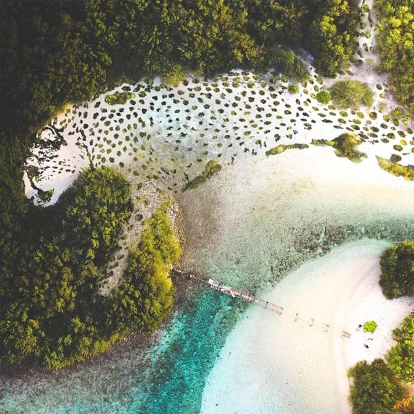 brillo lúdico a la naturaleza