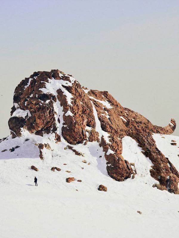 brillo lúdico a la naturaleza