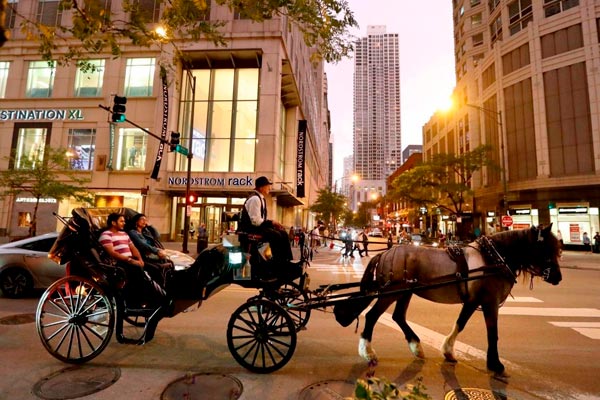 tortura para los animales