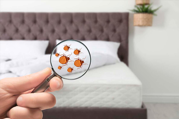 prácticas sucias en los hoteles