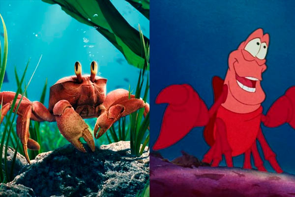 la Sirenita de acción real y el clásico de Disney