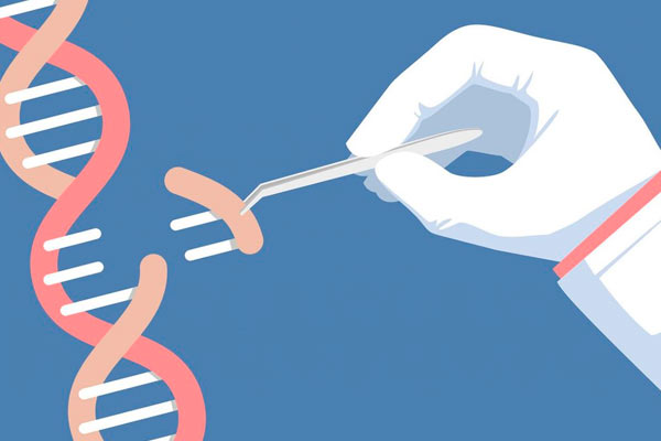 productos innovadores de la década