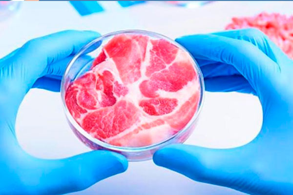 productos innovadores de la década