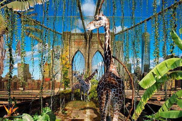 las ciudades si la gente desapareciera