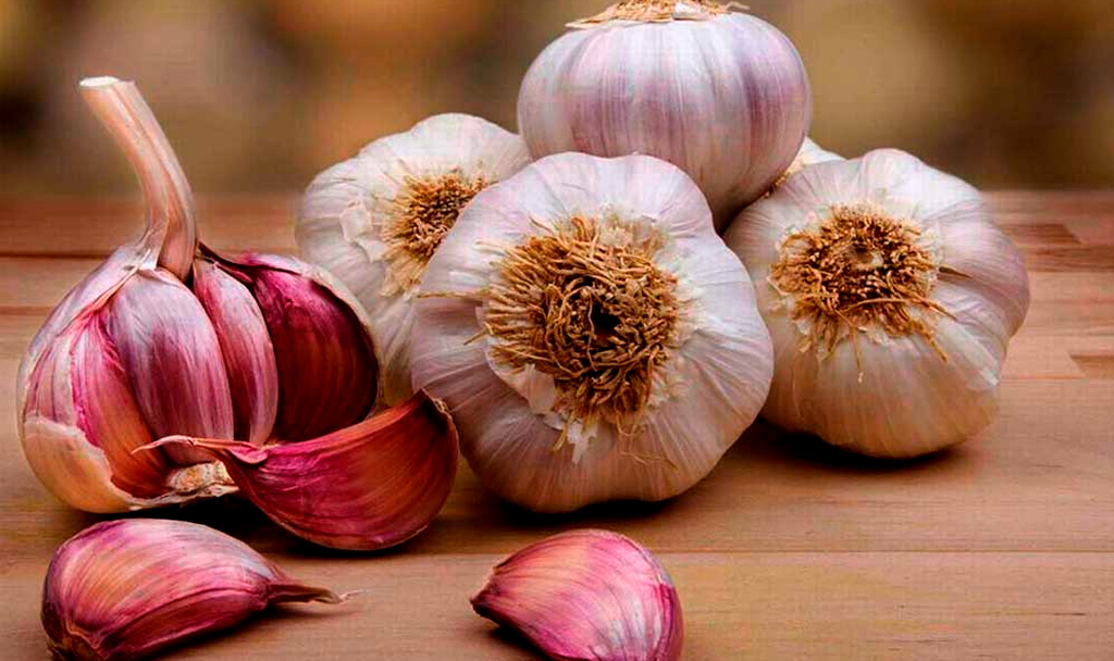 Propiedades medicinales de las especies