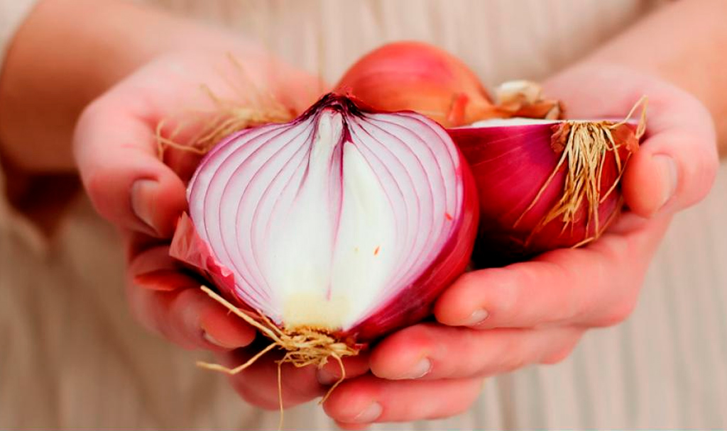 Propiedades medicinales de las especies