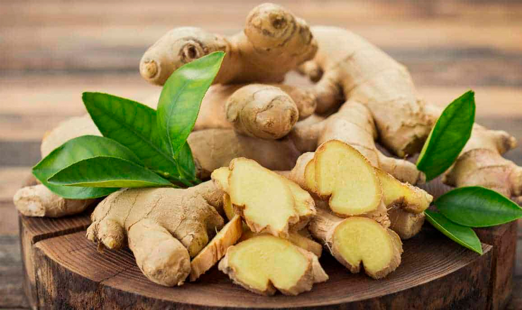 Propiedades medicinales de las especies