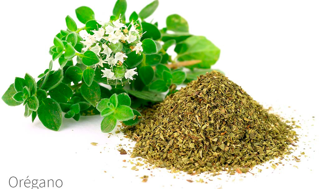 Propiedades medicinales de las especies