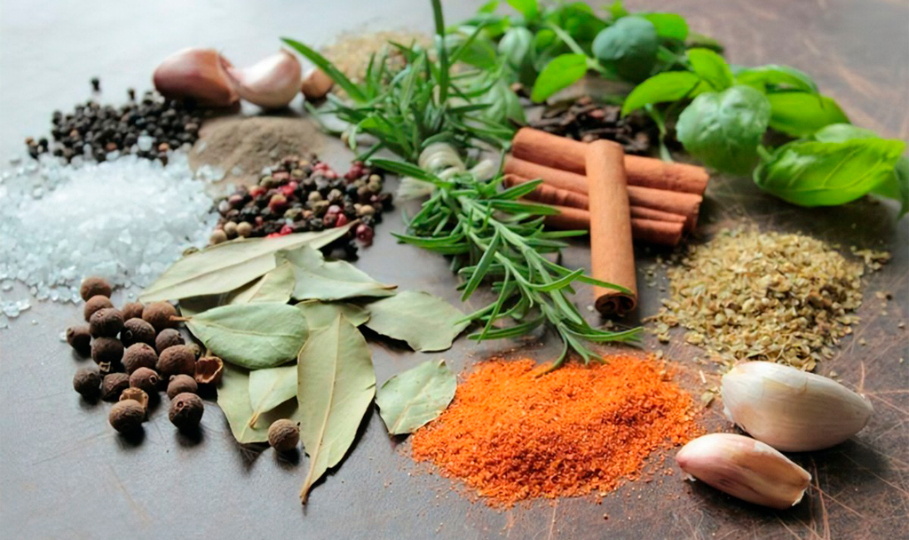 Propiedades medicinales de las especies