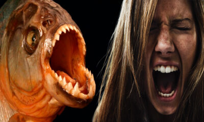 mitos sobre animales