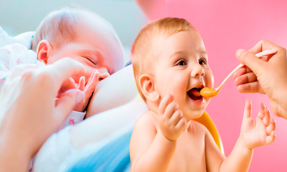 Nutrición del bebé de 0 a 12 meses