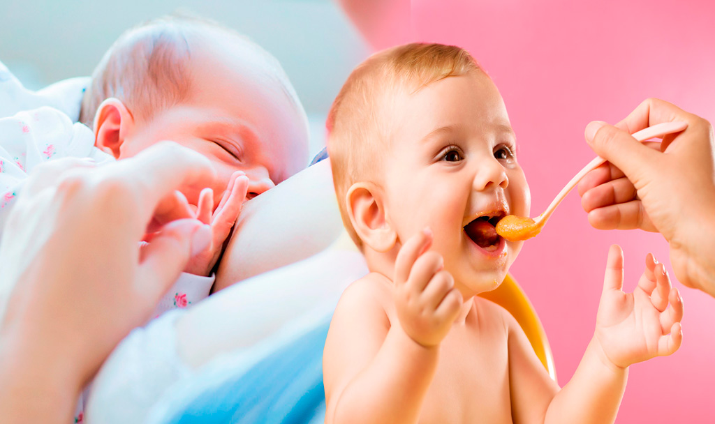 Nutrición del bebé de 0 a 12 meses
