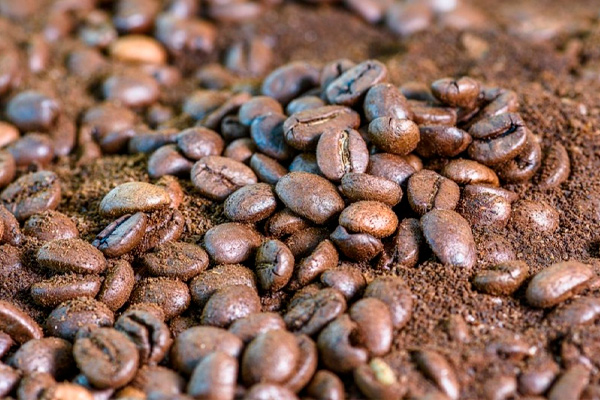 sacar los olores fuertes de la casa