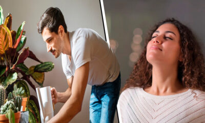 sacar los olores fuertes de la casa