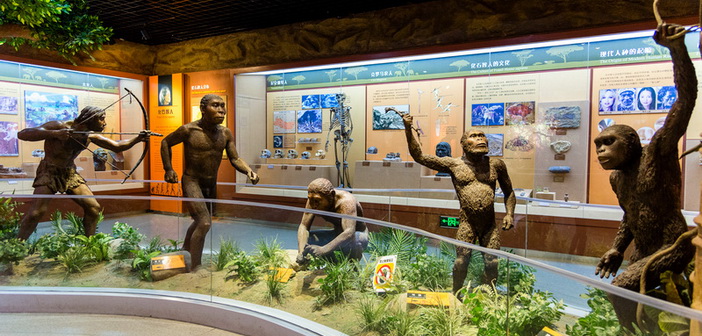Museo de Historia Natural de Beijing (Beijing) No. 2 Interior |: 6 mejores museos de historia natural del mundo | bayas de cerebro
